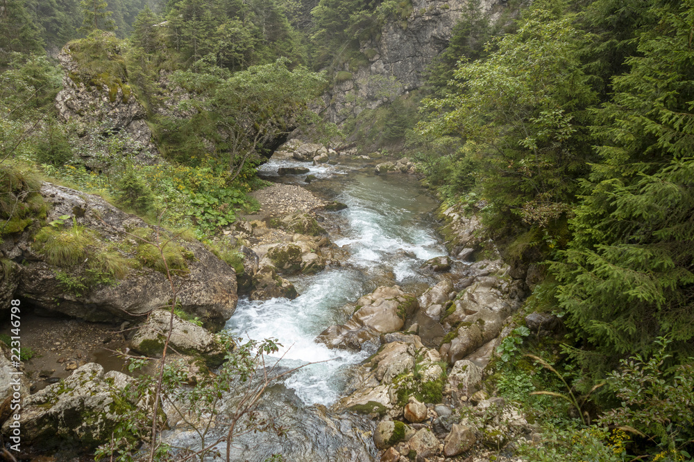 Fast river near forest in Bucegi mountains, Romania Fast river near forest in Bucegi mountains, Romania