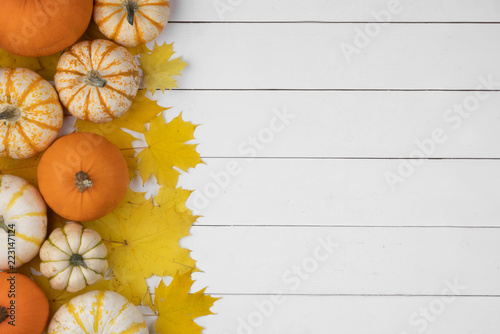 Pumpkins and maple leaves