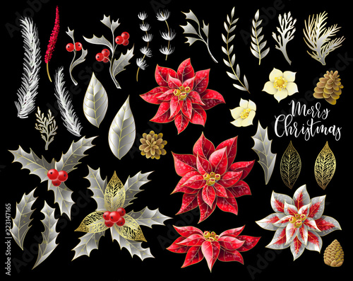 Set of Christmas decor in golden style, such as poinsettia, holly berry, fir-cone, fir branch and other isolated. Vector.