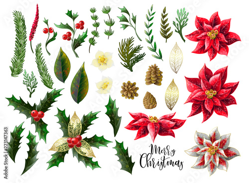 Set of Christmas decor, such as poinsettia, holly berry, fir-cone, fir branch and other isolated. Vector.