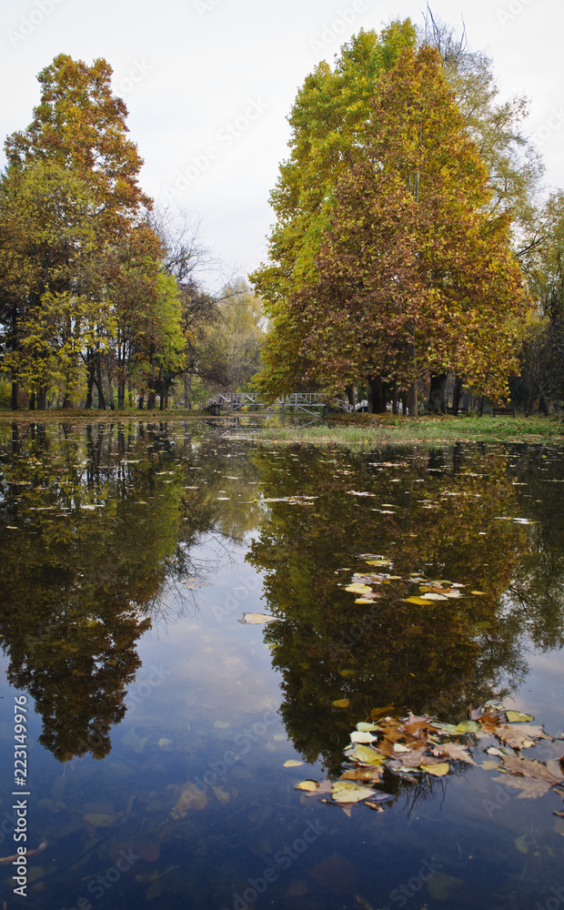 Fototapeta premium Beautiful autumn park with colorful trees and leaves and reflection in artificial ponds.
