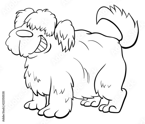 shaggy sheep dog character coloring book