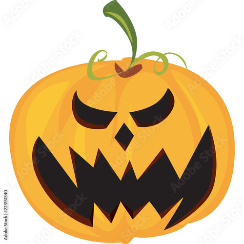 zucca