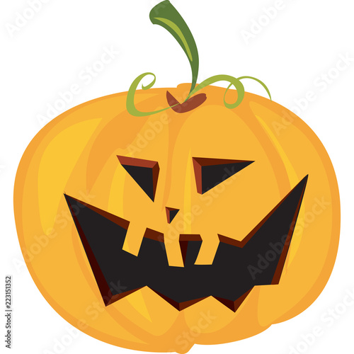 zucca