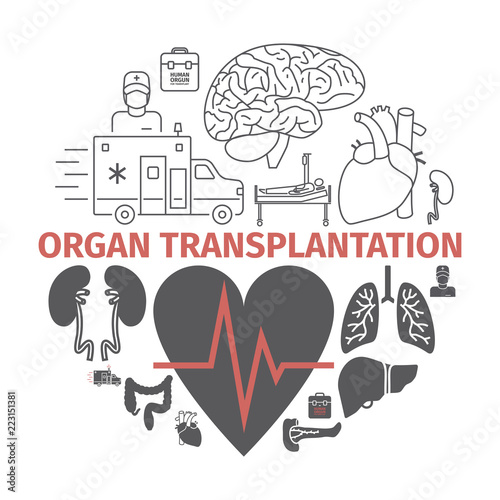 Organ transplantation banner. Vector signs for web graphics.