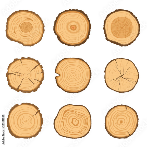 Set of round cross-sections of a tree with a different ring pattern isolated on a white background. Vector illustration