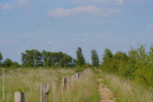 Verlüßmoor in der Umgebung von Osterholz-Scharmbeck im Sommer