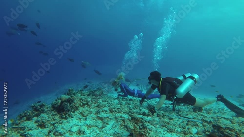 Wallpaper Mural Female freediver and diver sitting on the edge of the reef and looking to deep (Underwater shot, 4K / 60fps)
 Torontodigital.ca