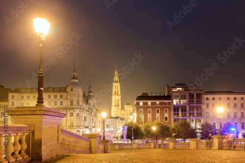 Beautiful view of the Cathedral of Our Lady (Onze-Lieve-Vrouwekathedraal) and a street light lantern at night in Antwerp, Belgium 