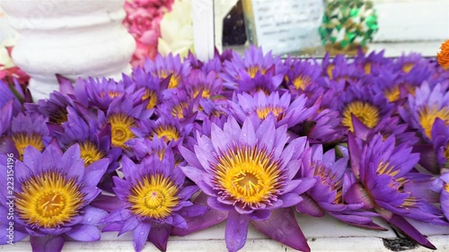 bouquet of flowers