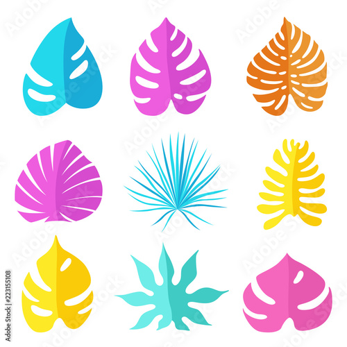 Set of colored bright tropical leaves of different types and forms. Vector illustration
