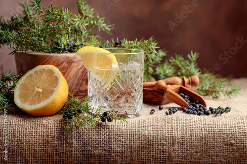 Cocktail gin, tonic with lemon and a branch of juniper with berries.