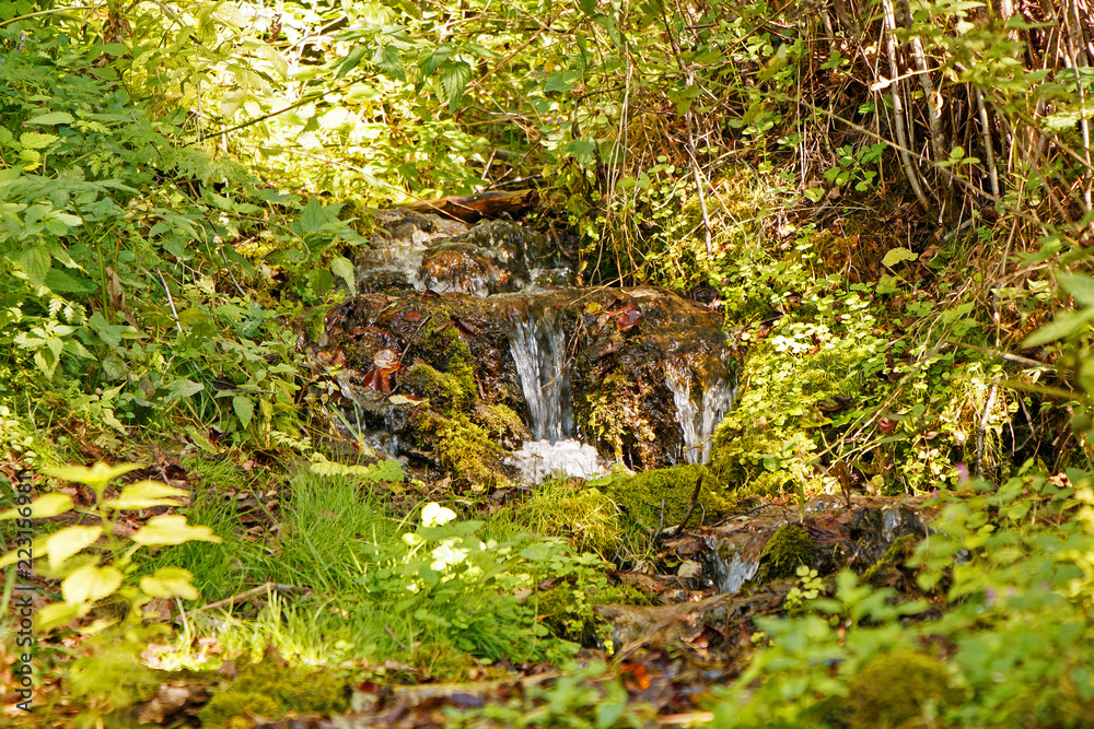Beautiful green small waterfall in a summer forest.