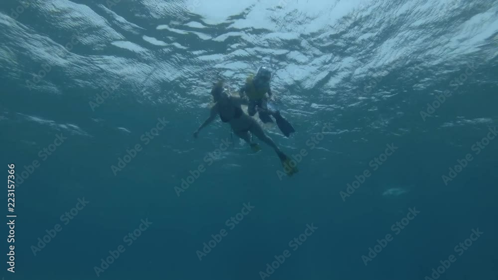 Woman and little boy in mask, snorkel and fins swim and look at on Green sea turtle Chelonia mydas (underwater shot, 4K / 60fps)
