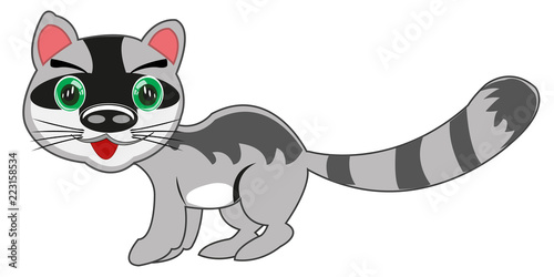 Animal racoon on white background is insulated