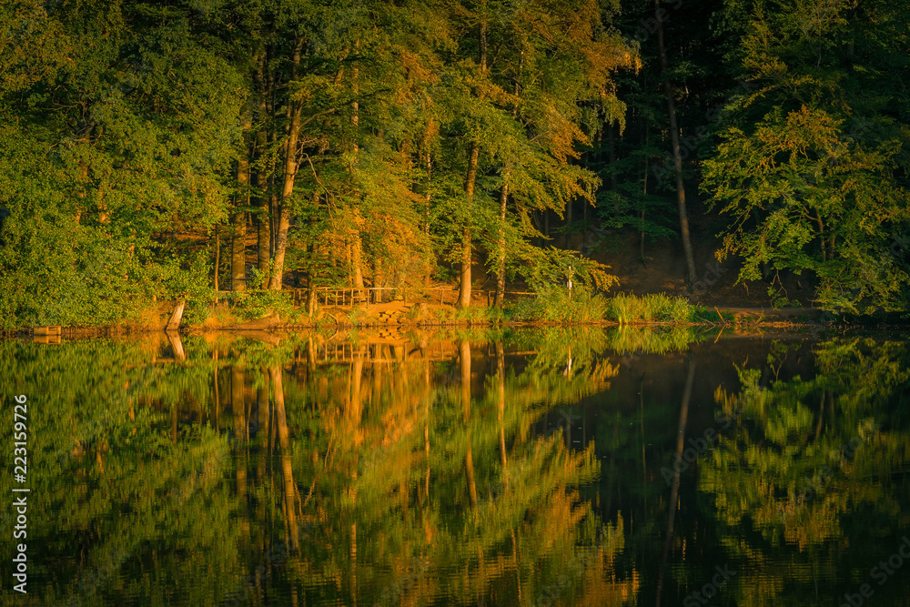 Bäume im Herbst Spiegelreflexion im Wasser Bäume im Herbst Spiegelreflexion im Wasser