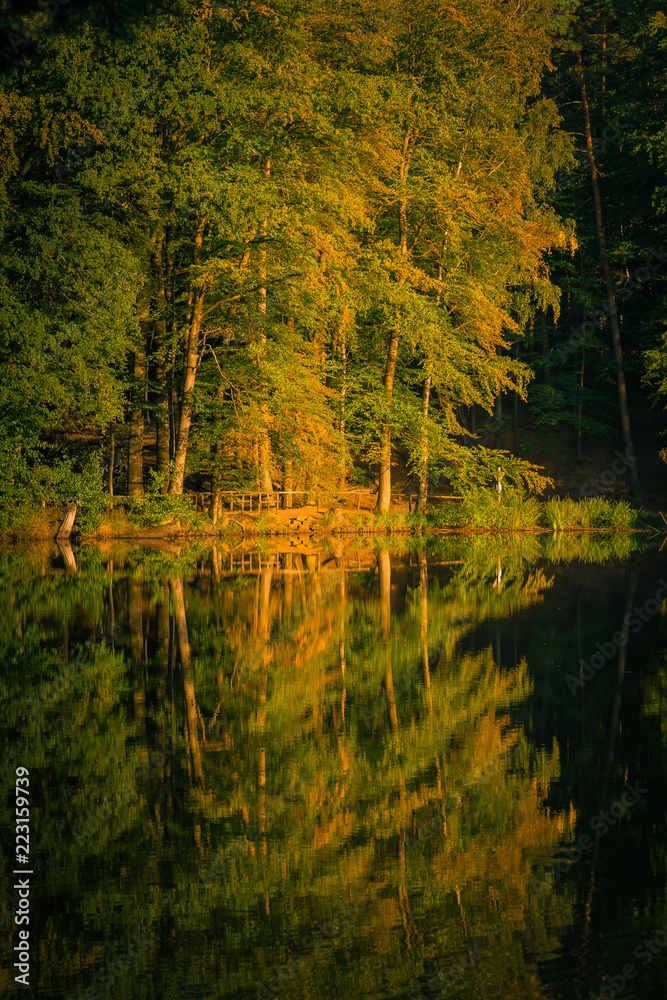 Bäume mit Herbstlaub spiegeln sich im Wasser, Wasserreflexion