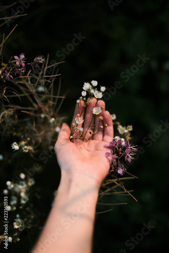 hand in flowers
