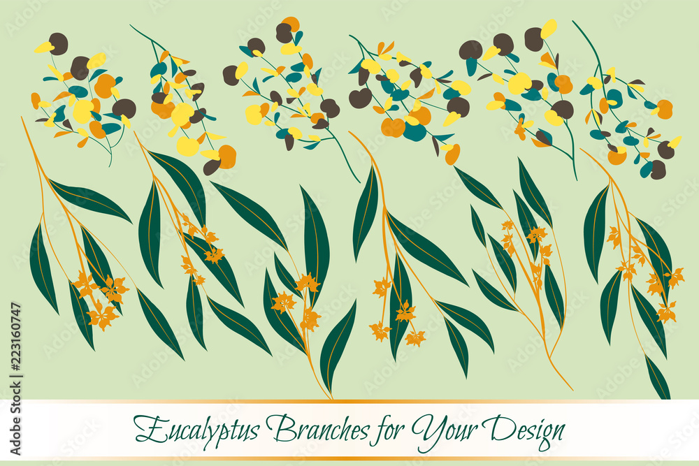 Eucalyptus Vector. Decorative Vector Leaves and Branches. Elegant Foliage. Beautiful Floral Element for Wedding Design. Tropical Plants. Flowers Isolated and Eucalyptus Vector for Card, Invitation.