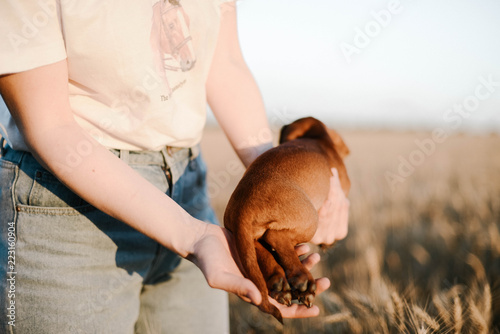 the girl is holding a dachshund in her hand