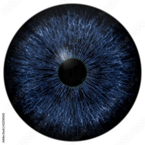 Dark scary blue eyeball, animal and human eye, dog and cat eyeball, isolated on white background, black pupil