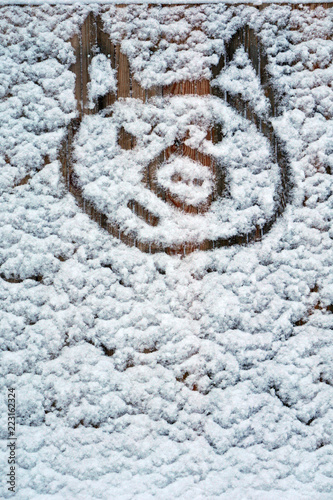 Pig. New Year 2019. Greetting card with cartoon piggi written in snow. photo