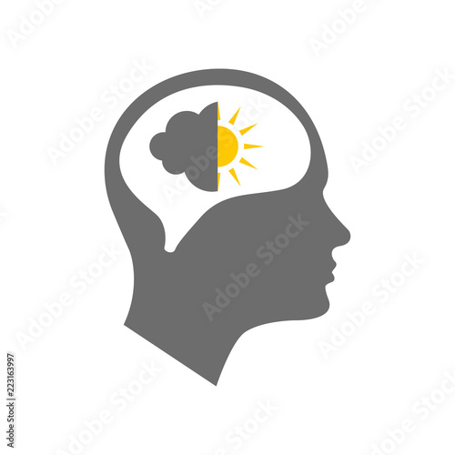Head icon for bipolar disorder