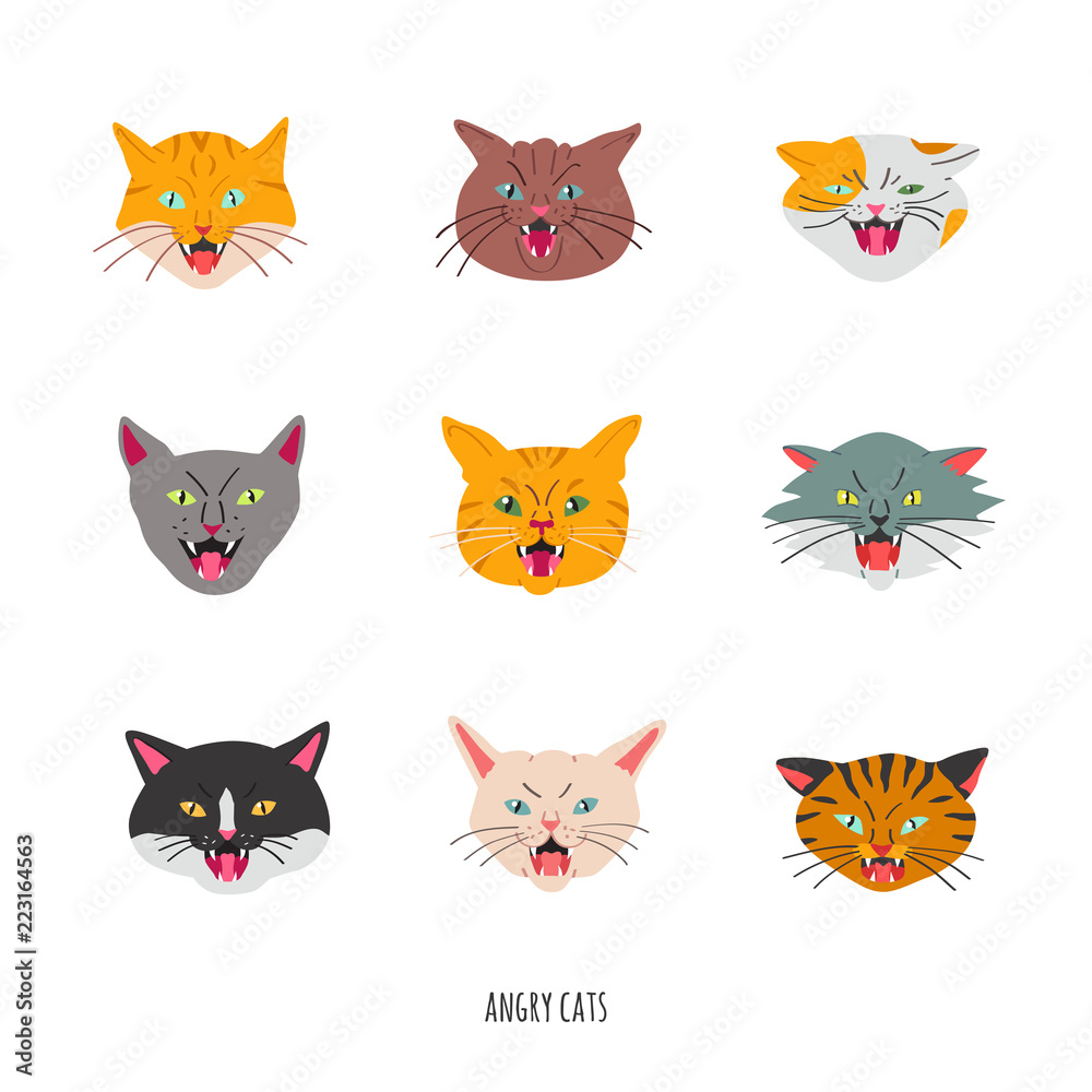 Angry hissing cat's head set. Doodle style.