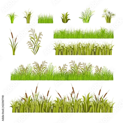 Green Grass Set Decor Elements Isolated on a White Background. Vector