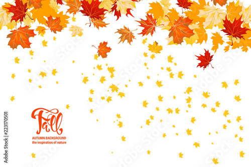 Maple leaves decor