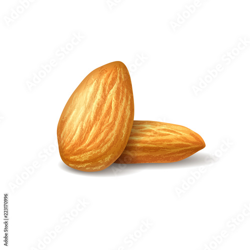 Realistic illustration almonds on white transparent background. Nuts on isolated background. Photorealistic 3D illustration for packaging design, labels, postcards, print design.