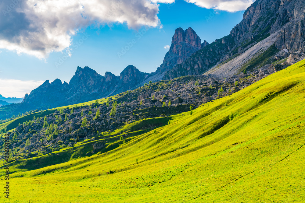 View of the field of yellow flowers and rocky hill on the Dolomites mountain