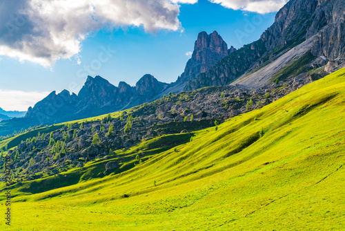 View of the field of yellow flowers and rocky hill on the Dolomites mountain © takepicsforfun