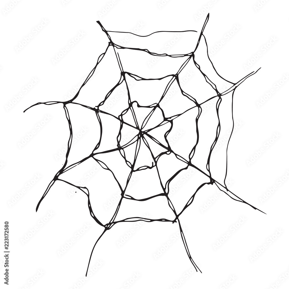 Spider web Hand drawn sketched web vector illustration isolated on white background