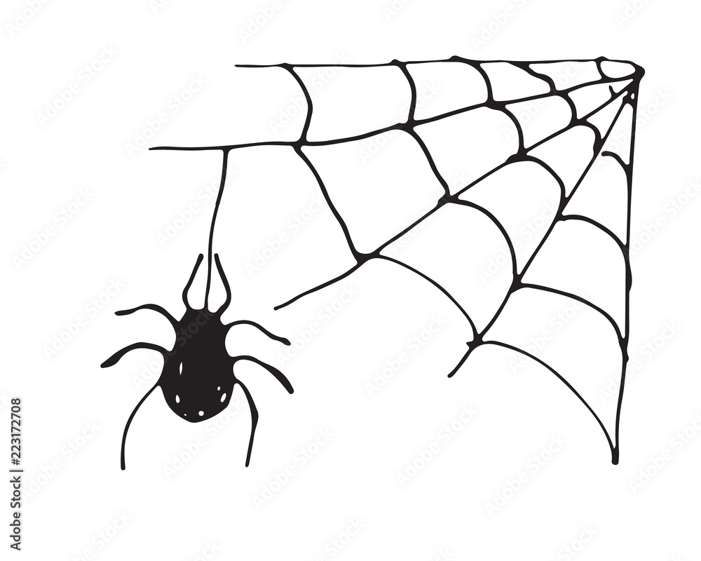 Spider web Hand drawn sketched web vector illustration isolated on white background