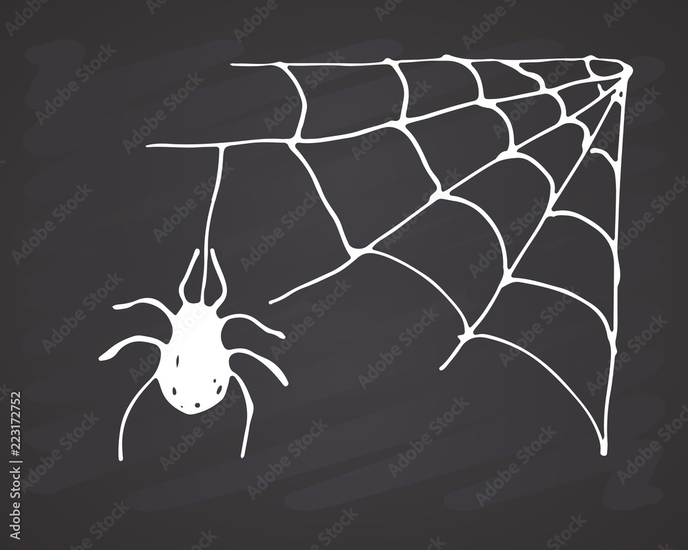 Spider web Hand drawn sketched web vector illustration on chalkboard background