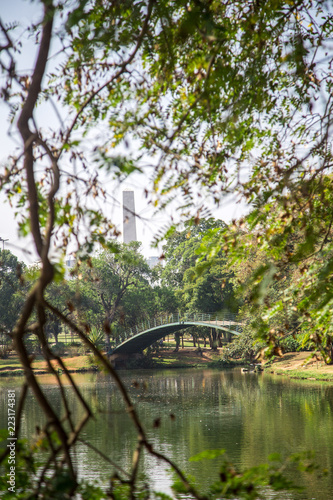 Ibirapuera's bridge with trees in the background and a big lake in the ground, in São Paulo. City, tourism, peaceful place, parks, is the concept © Thi Soares
