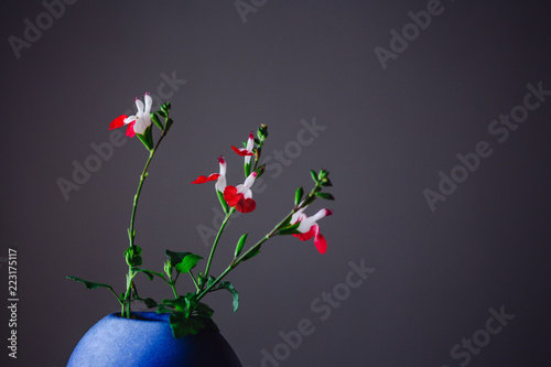 Flowers in a vase Hero Shot