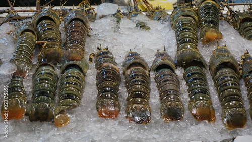 lobster in market