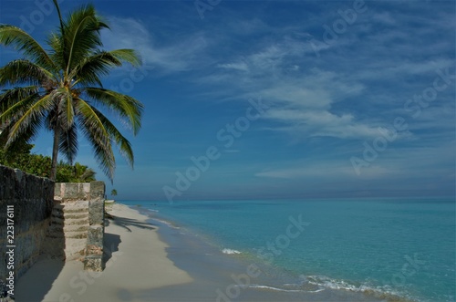 The beautiful beach of Varadero  Cuba