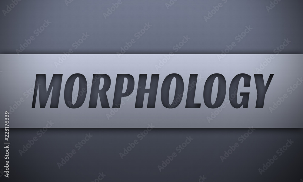 morphology - word on silver background morphology - word on silver background