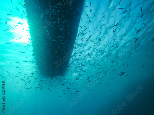 Boat from Underwater with school of Small Fish in the Red Sea in Egypt