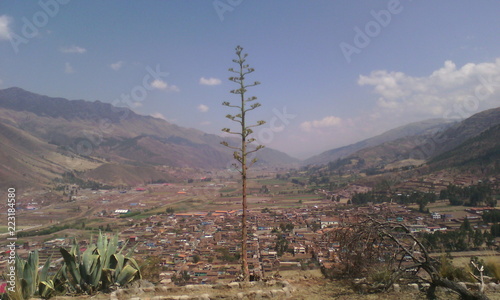 thin tree, village at medium distance, mountains and blue sky in the background, location near the city of cusco peru.