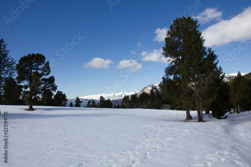 Pista de esquí vacía