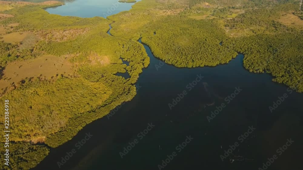 aerial mountains, sea bays, mangrove forest at sunrise. Bay among the mountains, jungle. Philippines,Palawan, Busuanga. Aerial footage Travel concept aerial mountains, sea bays, mangrove forest at sunrise. Bay among the mountains, jungle. Philippines,Palawan, Busuanga. Aerial footage Travel concept