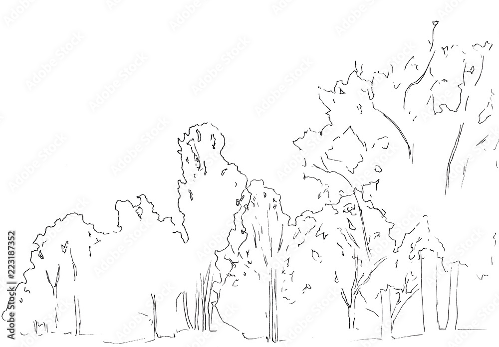 Naklejka premium Trees and bushes sketch. Landscape linear drawing. Hand drawn illustration. Forest on white background. Black Line style design. Wild nature.