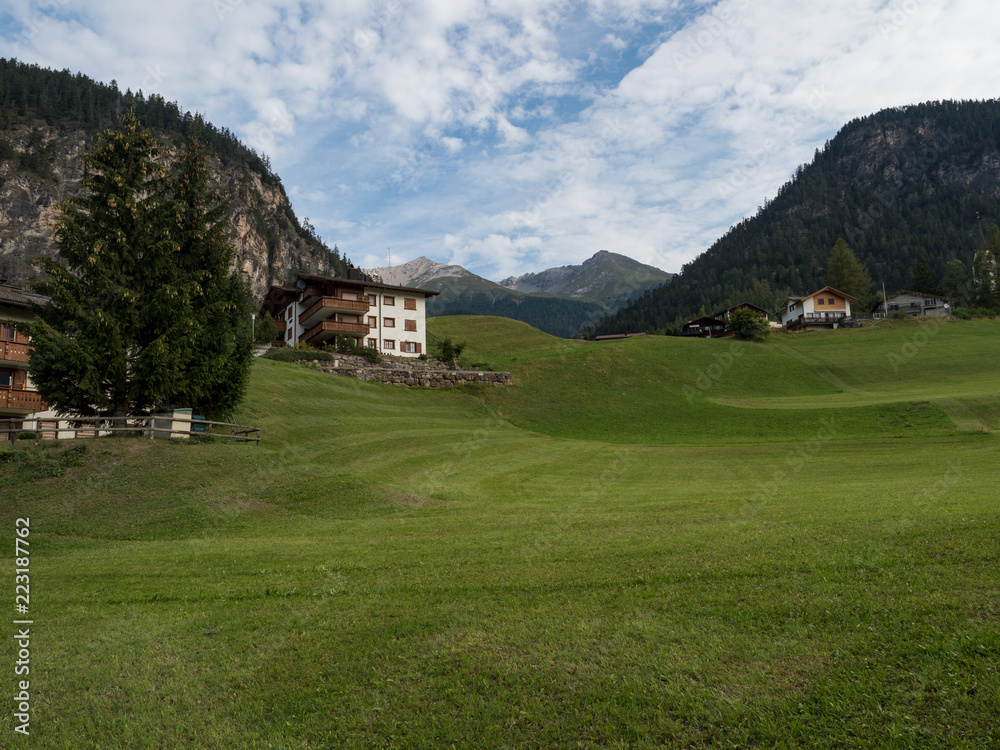 Idyllic landscape in the Alps with fresh green meadows and blooming flowers and snowcapped mountain tops in the background, Switzerland, august 2018