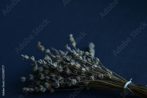 dried lavender on a dark background