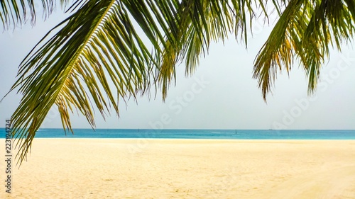 Palm leaf over white sand beach and turquoise sea, Maldives. © Viacheslav