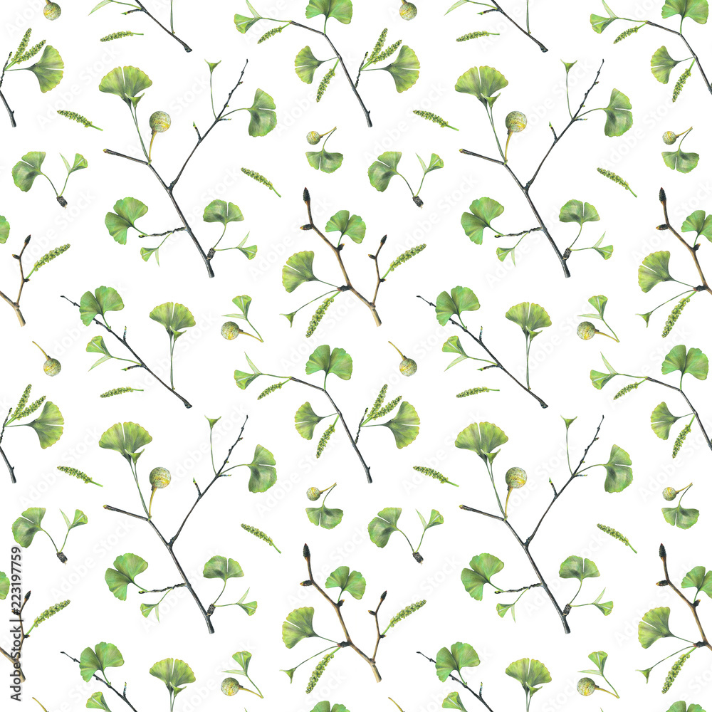 Seamless pattern with green leaves of ginkgo biloba. Hand drawn illustration with colored pencils. Botanical natural design for textiles, interior or some background.